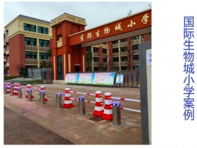 國際生物城小學(xué)升降柱現(xiàn)場案例