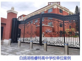 深白鴿湖格睿特高中學(xué)校單位升降柱現(xiàn)場案例